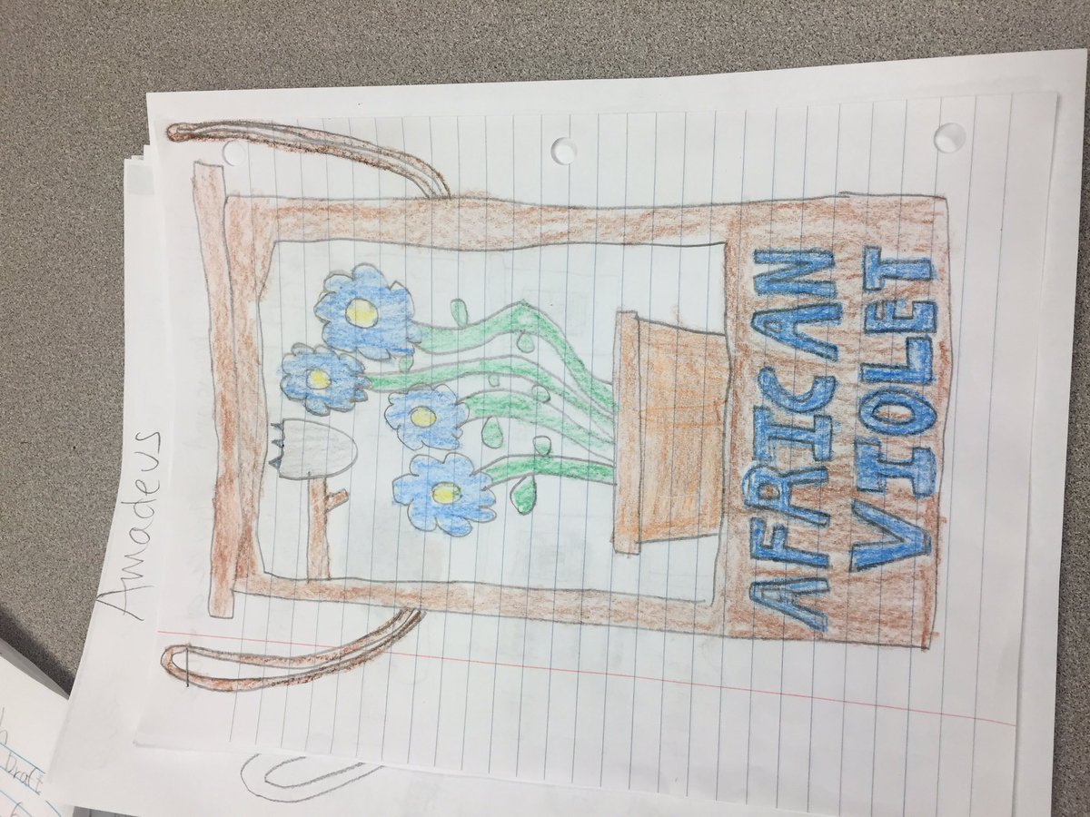 Forman2ndgrade tweet media