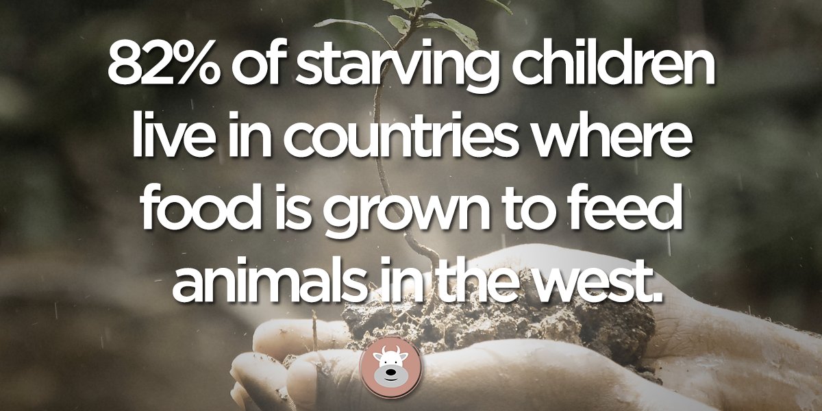 meatnoeat's tweet photo. #FactOfTheDay We can make a difference by collectively abstaining from eating meat. https://t.co/bQfKkhg9y9