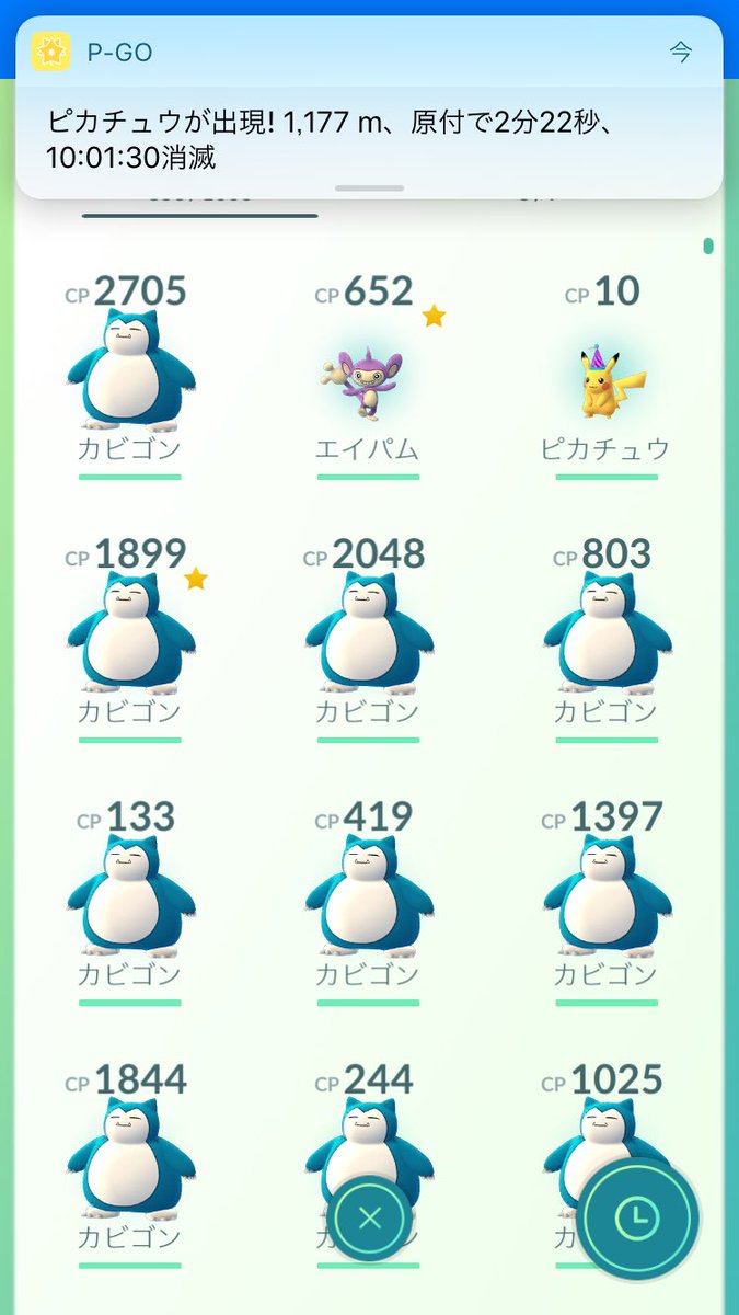 熊本カビゴン