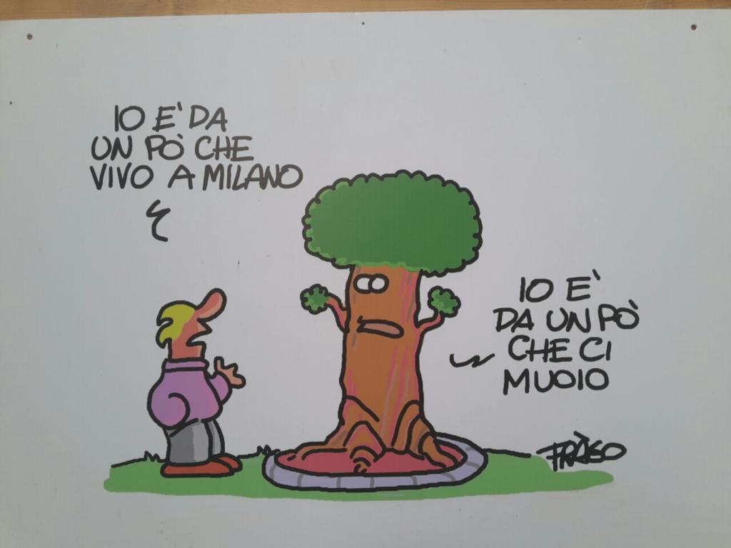 aus207's tweet photo. #alberi #smogmilano #milano #ariainquinata #pm10 #bloccodeltraffico #stopauto #ariapulita https://t.co/0XJuo09Qqq
