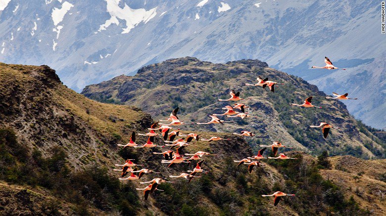 CNNTravel's tweet photo. Preserving Patagonia - A landscape that inspires awe in those who explore its vast and varied wildernesses: https://t.co/uBM1tWsxnV https://t.co/Ga1FXfjts1