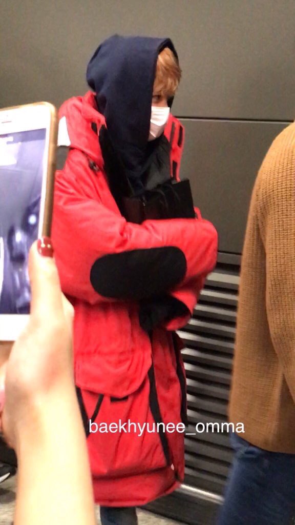 __papipanda's tweet photo. 🐶べっちゃん(2) https://t.co/wkKvvTVrjX