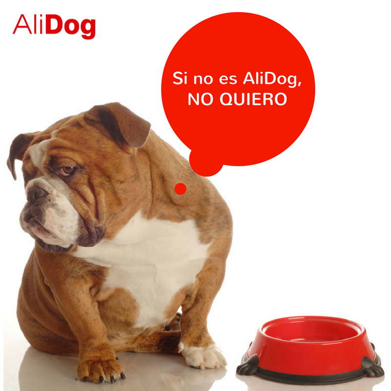 Aba_AliDog's tweet photo. ¿Tienes a tu perrito sin ganas de comer? Cambia su comida, y dale AliDog https://t.co/kPnOunDCjW