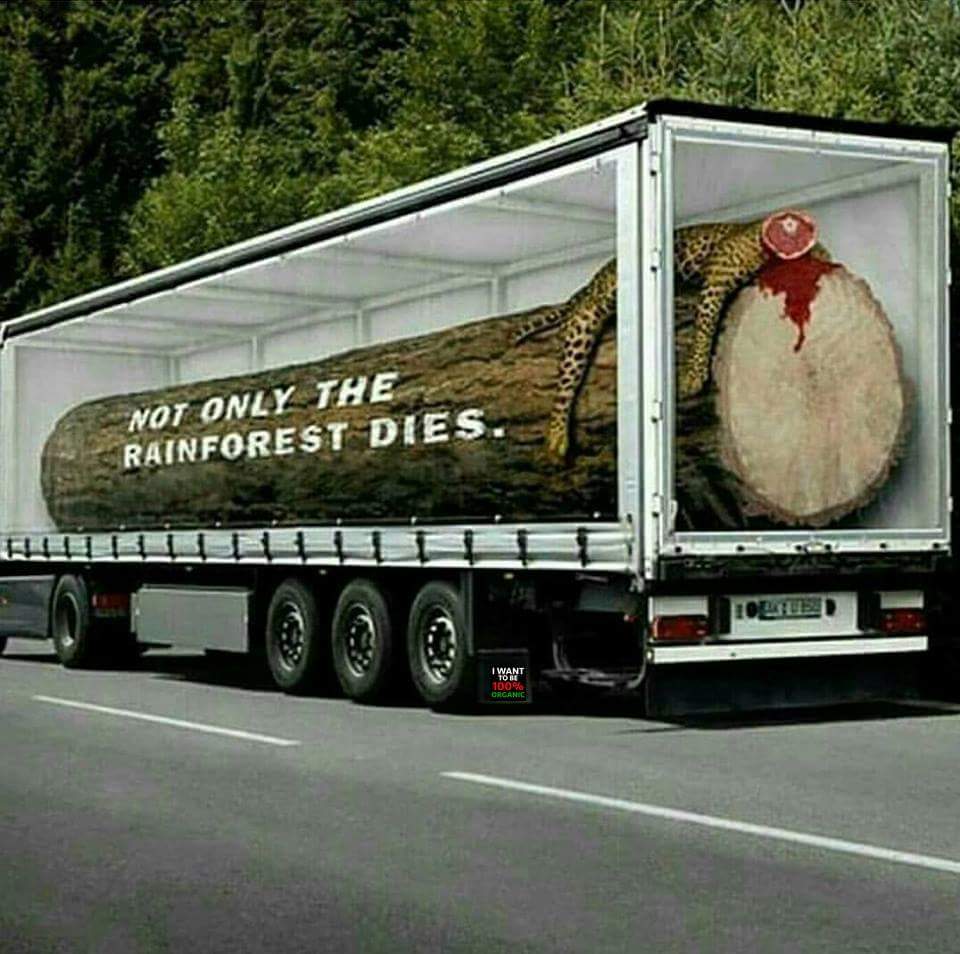 S. W. N. tweet media