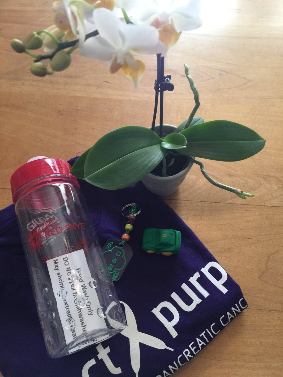 RHokJr's tweet photo. TY @Run4Purple @JA_WCT @GSofCT & #AdvancedManufacturingCenter at @HCCinfo for the GREAT #tchatchke #swag #knickknacks https://t.co/QE1KAlteRx