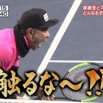 声優同士でリプを送りあっている中にオタクが混ざったのを見た時の感情がこれ!