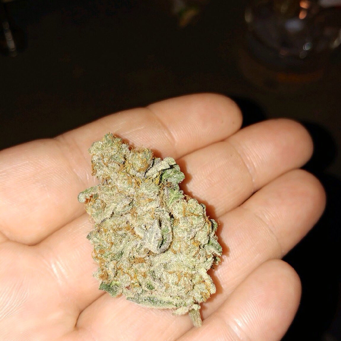 Sour cookies grown by my buddy The Big Pun on Instagram 🔥