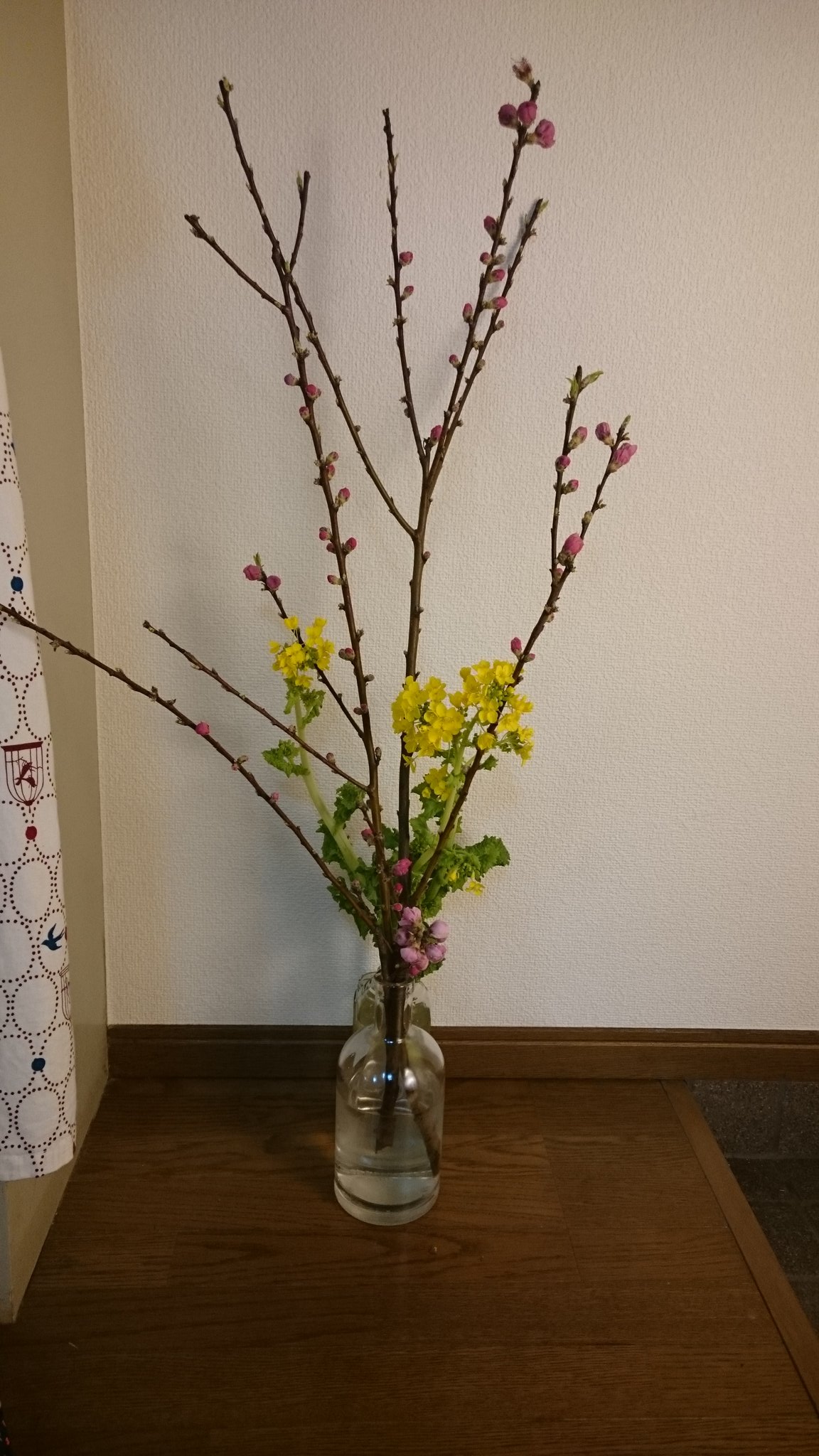 Chiyo 桜買いにいったけど 今週からぼちぼち入るかんじらしくて いまさら桃買っちゃった 桜飾るのは毎年この時期だけだけど 枝用の花瓶を毎年買わなきゃ と思いながら買いそびれてまた春を迎える ゆえに 飾り方も毎年いびつ 笑 まあ 桜があるだけ Chiyo 桜買いにいったけど 今週からぼちぼち入るかんじらしくて いまさら桃買っちゃった 桜飾るのは毎年この時期だけだけど 枝用の花瓶を毎年買わなきゃ と思いながら買いそびれてまた春を迎える ゆえに 飾り方も毎年いびつ 笑 まあ 桜があるだけ