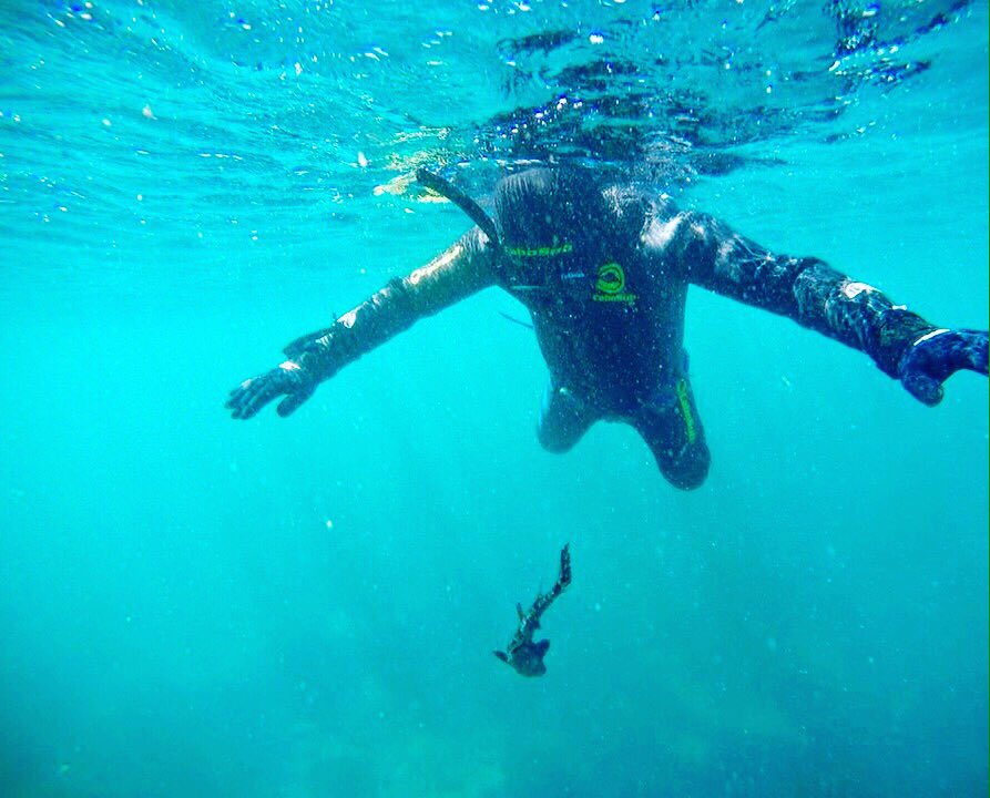 fogataVRegion's tweet photo. #BuceoSnorkeling en #ViveFogata Excursiones Outdoors  📌Reservas a contar del 17 de Marzo ~ Más informaciones en +56957100064
Natalie https://t.co/B44pVpTmEg