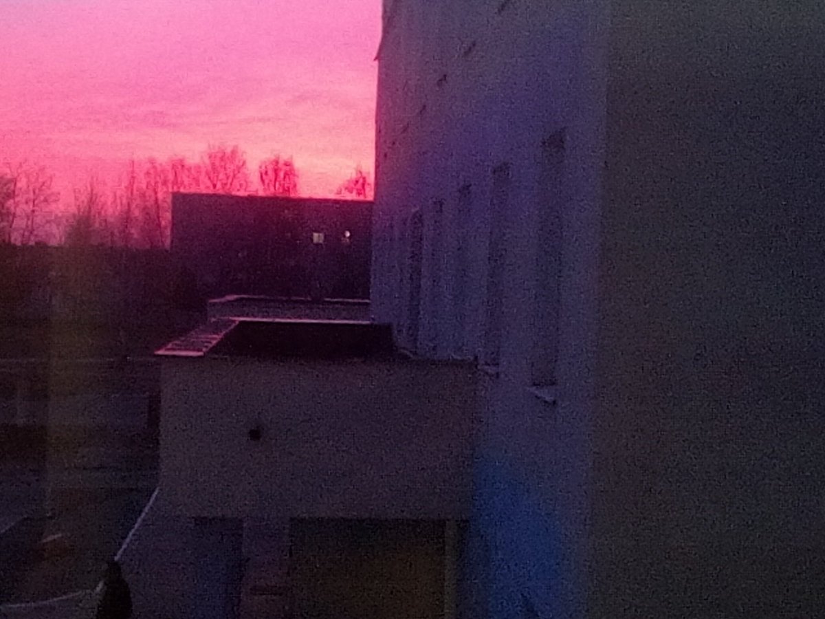 LZatenko tweet picture