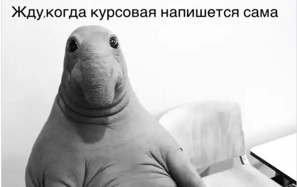 asmilskalns's tweet photo. О наболевшем🤧 https://t.co/InItWF3Ew4