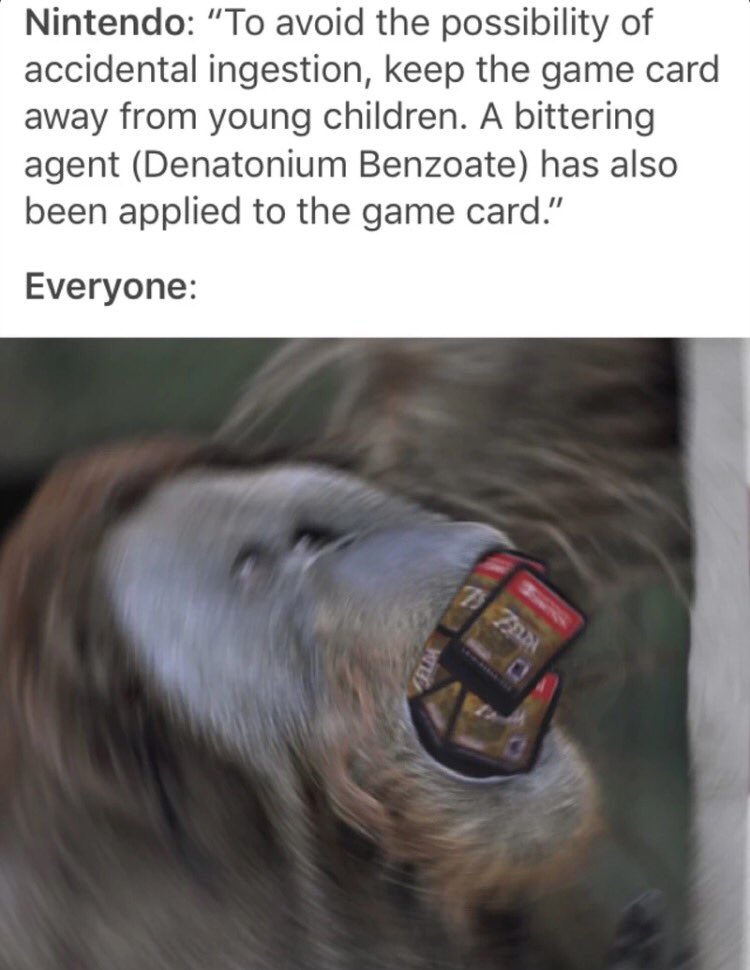 polyridge's tweet image. As a game dev I couldn't help but have a giggle 😂 #nintendoswitch #gaming #indiedev #indiegame #unity3d #SundayMorning #ZeldaBreathoftheWild