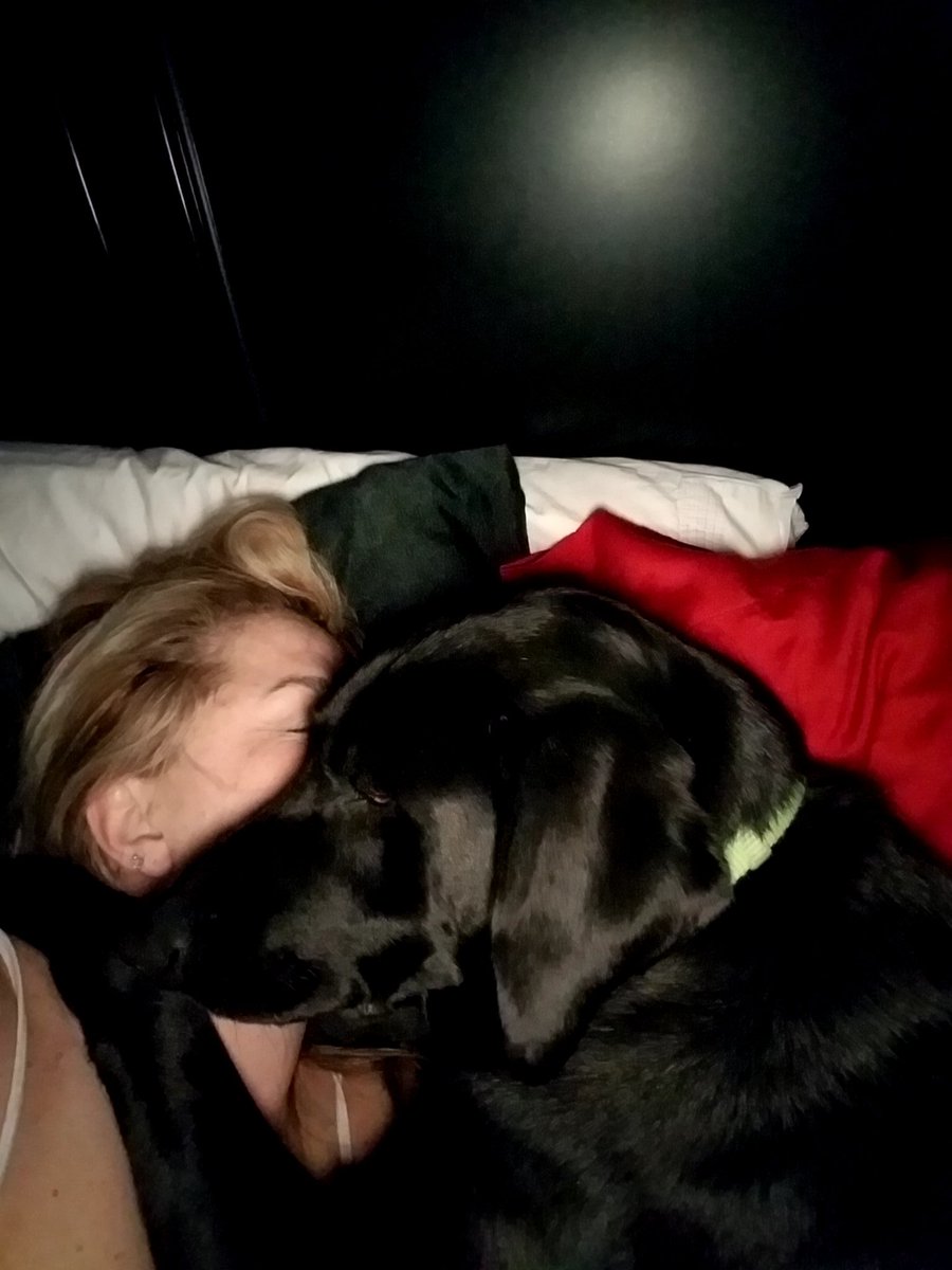 LilRedRacer13's tweet photo. @BTUArmy You get spooned.. I get suffocated!! Trip ♥'s his momma! 🤣🐶🐾 https://t.co/KVDL0Lt9D8