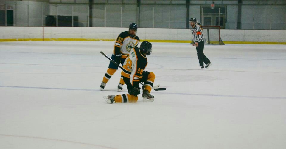 WS_Baymen1's tweet photo. The season may be over, but @J_fitting9 and @jrbushnyr will take the ice one more time for the county all-star game. 915pm March 12 Bethpage https://t.co/t4nfjxlBxw