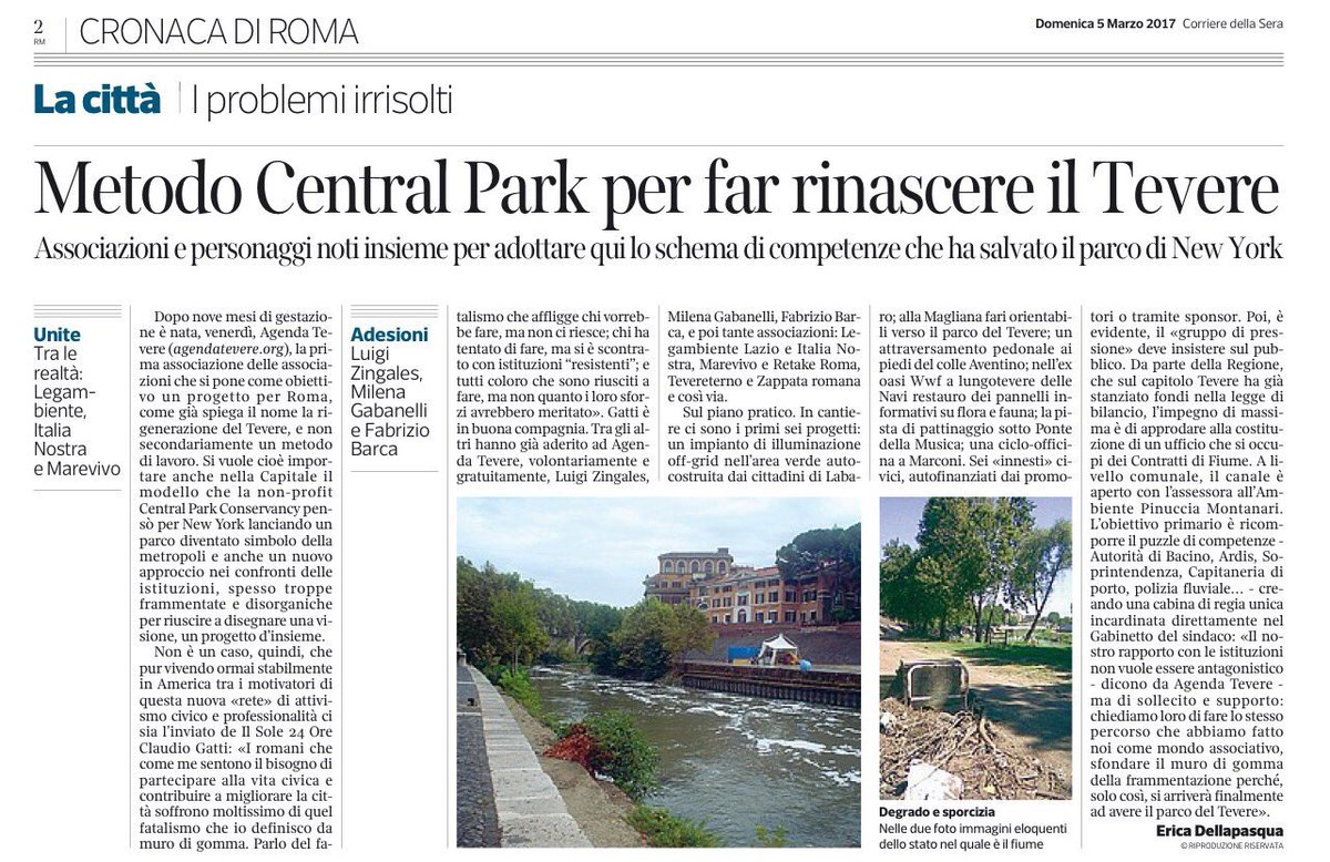 zappata romana tweet media