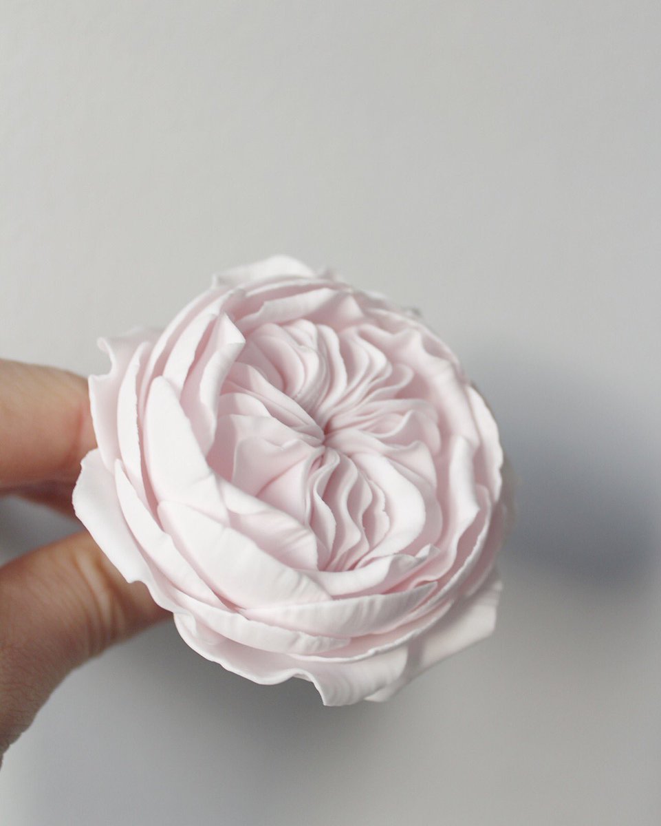 Designer Cake Co tweet media