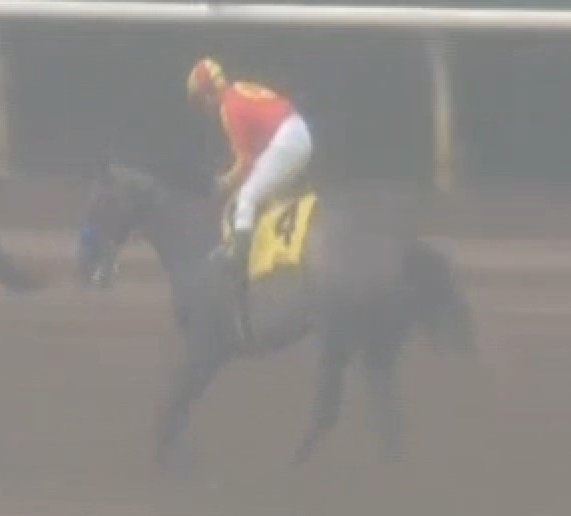 TwinSpires's tweet photo. #PrettyNCool prevails over four rivals, rainstorm while making 4yo debut in #LasFlores (G3) @santaanitapark https://t.co/wufkZi4gEe