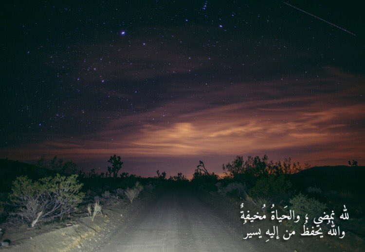 بإسمك اللهم وضعت همّي وأنت ترفعه