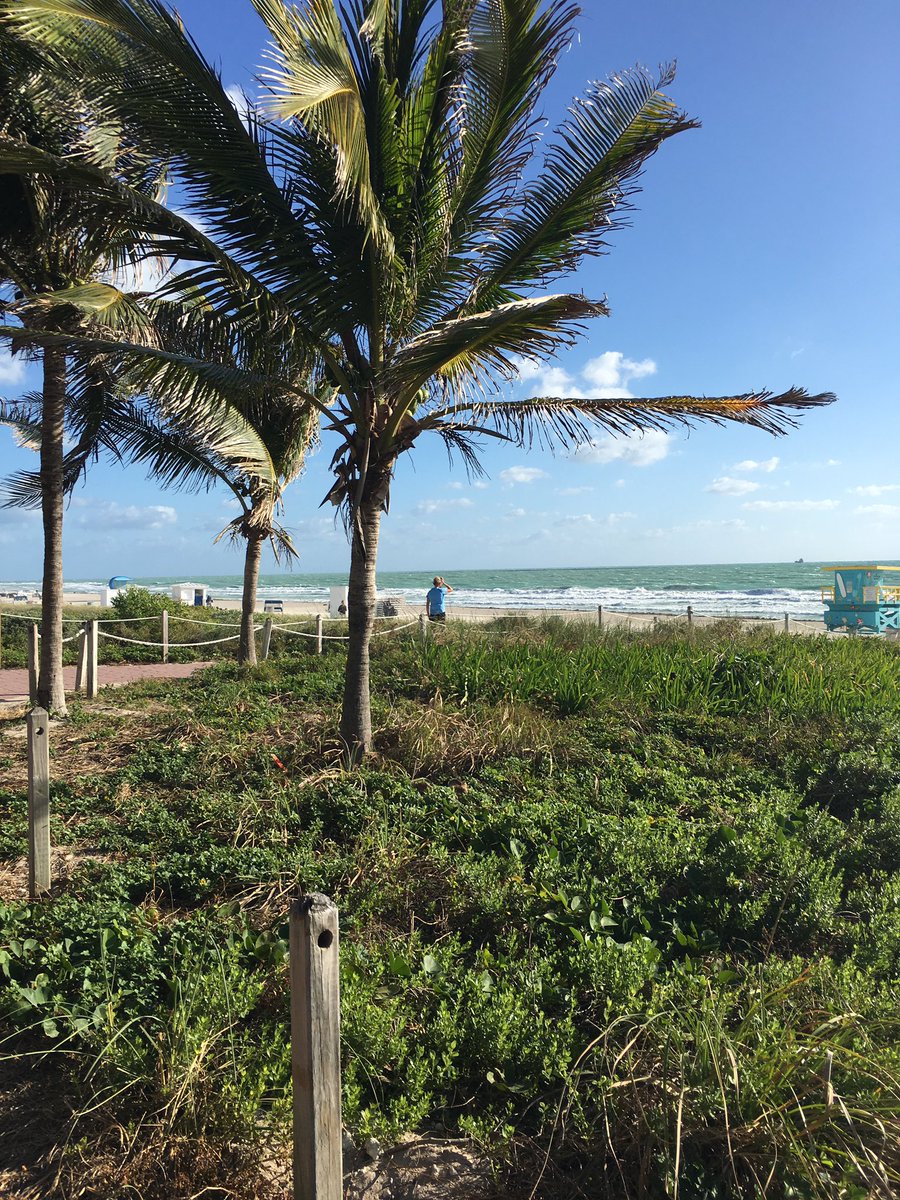 runjeffrun1's tweet photo. Such a cool place to runa half. #run131 #miamibeach https://t.co/tNvKSY4BlM