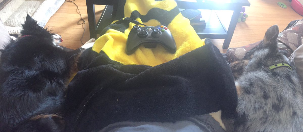 BuddyLMusic's tweet photo. This is the life #SundayMorning #uiowa #Hawkeyes
#rescuedog #videogames #payday2 #XboxLive #itsmillietime #bootscooter https://t.co/PhELdysvfb
