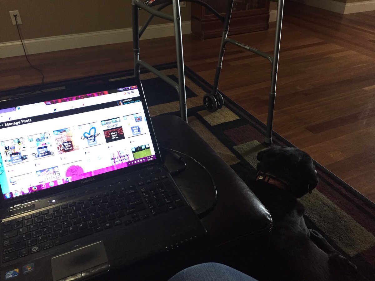 MandiYontz's tweet photo. Sunday morning working while Rosie lays by my side! #blacklabs #cinchshare #easyplanning https://t.co/YBaZ0iy6wm