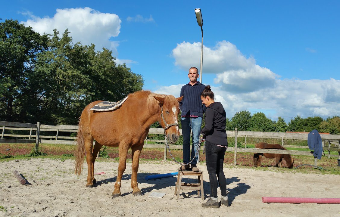 IKEV_CENTRAAL's tweet photo. Paarden kunnen incongruentie ruiken en opmerken aan jouw lichaamstaal. Jonge kinderen trouwens ook. #verbinding #CREF https://t.co/9ysWyzeZc0