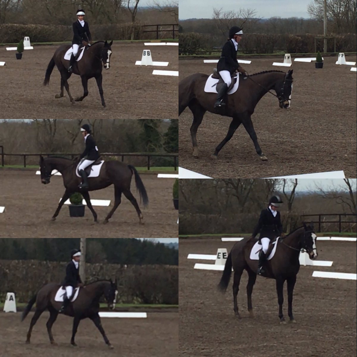 BethEventing's tweet photo. Amazing day today achieving our best dressage score to date😃 https://t.co/qIMYtNZdD2