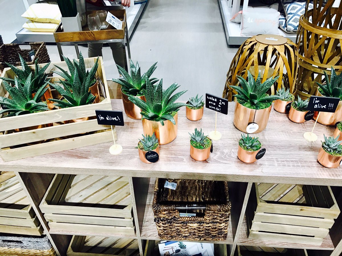 megansmac's tweet photo. Fresh and new at #Thebluff 🌱🎯@Tim_Heit @Vannaaaaaaaaaa https://t.co/gFuuXsR5Vq