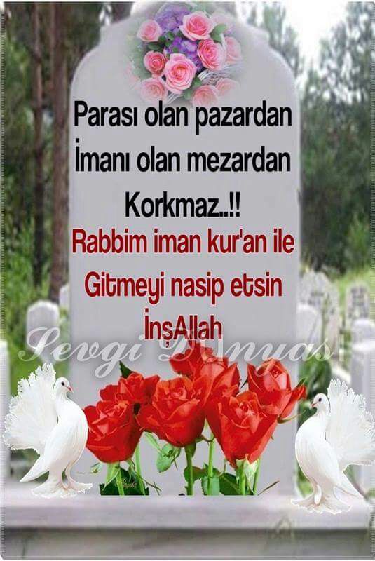 alidal57 tweet picture