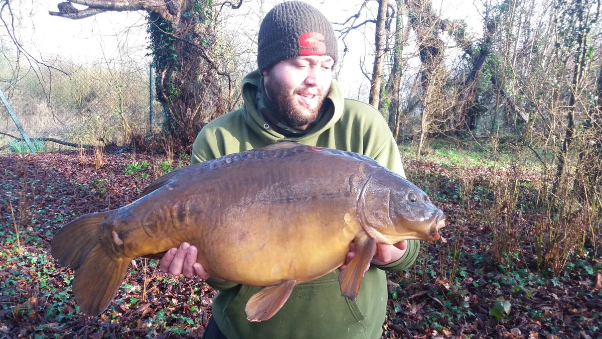 pole_ash1245's tweet photo. Had a fish known as "Cluster" from a local water. Weighing in at 28lb 9oz. Can't be bad on a cold and wet morning https://t.co/TOnpb7ZI5x