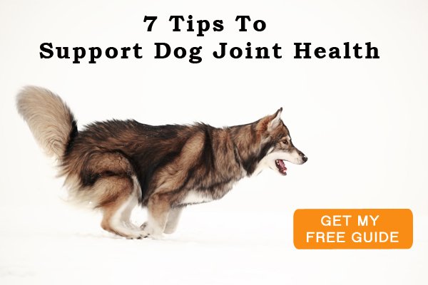 maxxipaws's tweet photo. Get Your FREE Brochure NOW! https://t.co/Uw0PKvehRc #dogsjoints #dogtips #dogadvice #dogshealth #dogs #dogarthritis #dogjointsupplements https://t.co/o0lkhsNSDZ