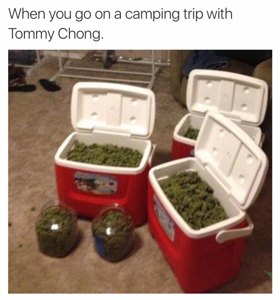 chongschoice's tweet photo. LIT. https://t.co/T2rUDnC3a5