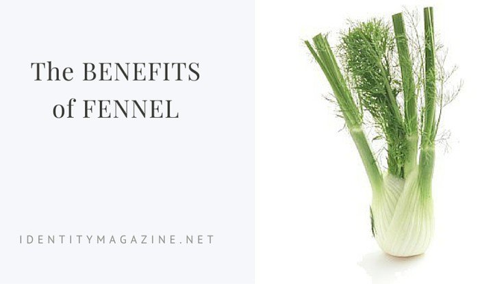 IdentityMag's tweet photo. The Truth About Fennel https://t.co/xy7UCwTAVe #fennel #nutritionarticle https://t.co/rR16YYtOVL