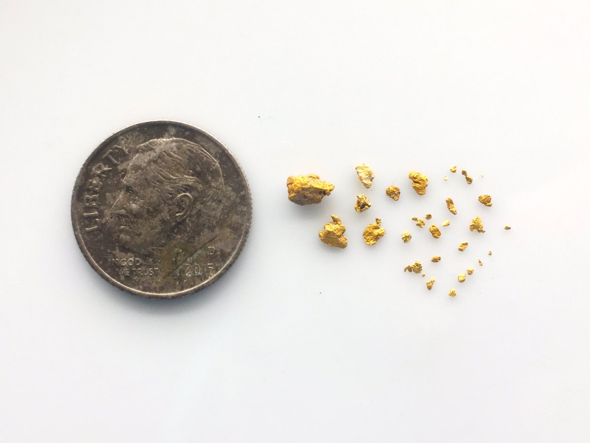 nickuhas's tweet photo. So I got into searching for gold for a #Nickipedia video we were working. Here's what we've collected so far I'm a certified "Gold Digger":) https://t.co/ODQntqc9SP