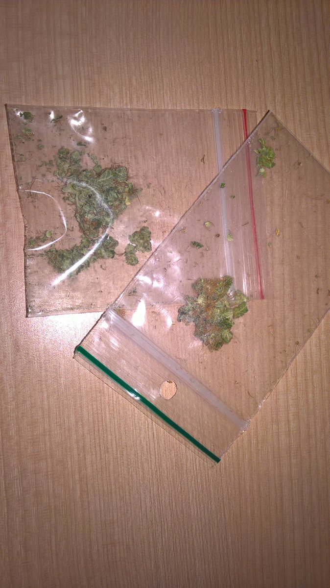 brumganjaclub's tweet photo. #Amsterdam pt1 me in @flyingpighostel downtown #smoking #ogskywalker #bong smoking #caseyjones with misses plus in red lip bag #orangebio https://t.co/8Ddkh0qIec