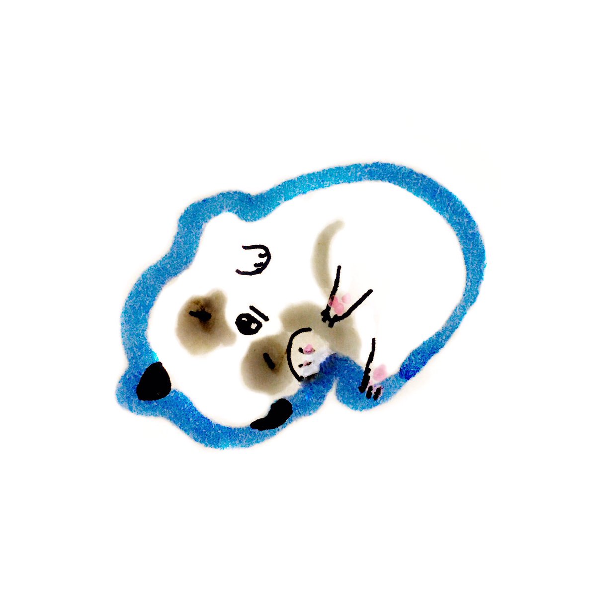 masillustra's tweet photo. Dreamer in #DeepKoamaru for #colour_collective #dog #puppy #sketch #illustration #drawing #masillustra https://t.co/aFaGCcLHtq