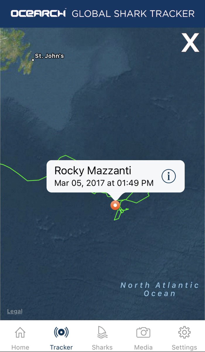 OCEARCH tweet media