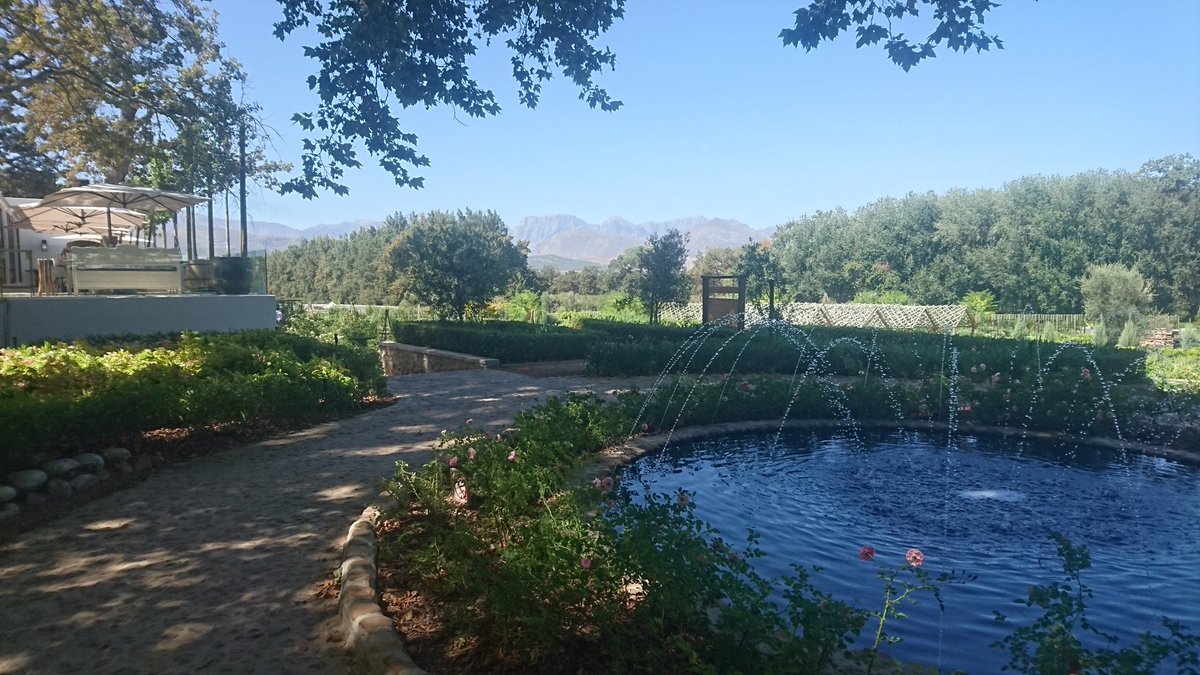 Harrison_Chinn's tweet photo. Lunch @Boschendal #franschhoek with a lovely drop of @BoschendalWines https://t.co/pQqZf0o2hG