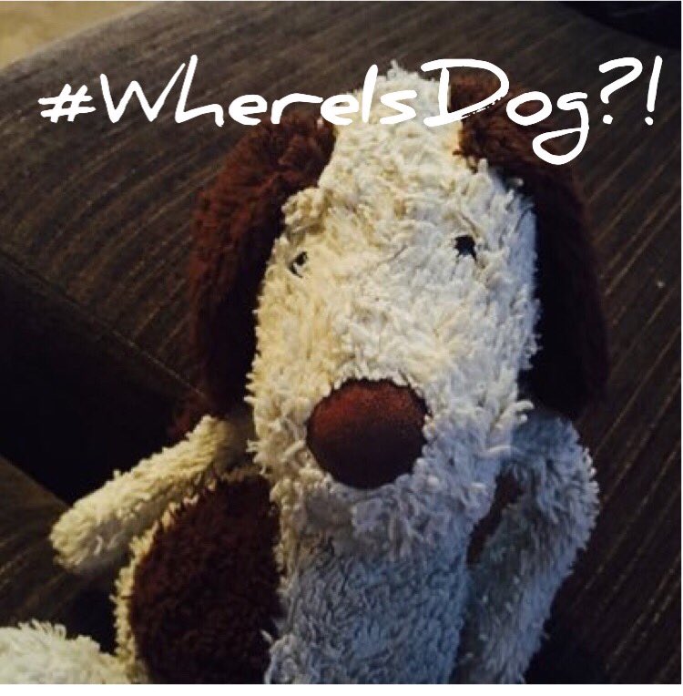AdventuresOfDog's tweet photo. I've gone missing again! Has anybody seen me? I must be in the house somewhere! #WhereIsDog?! https://t.co/EHtTFA0qLt