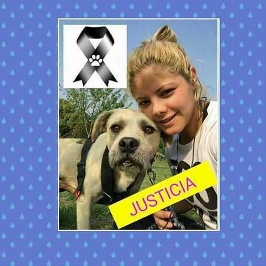 Ver imagen en Twitter