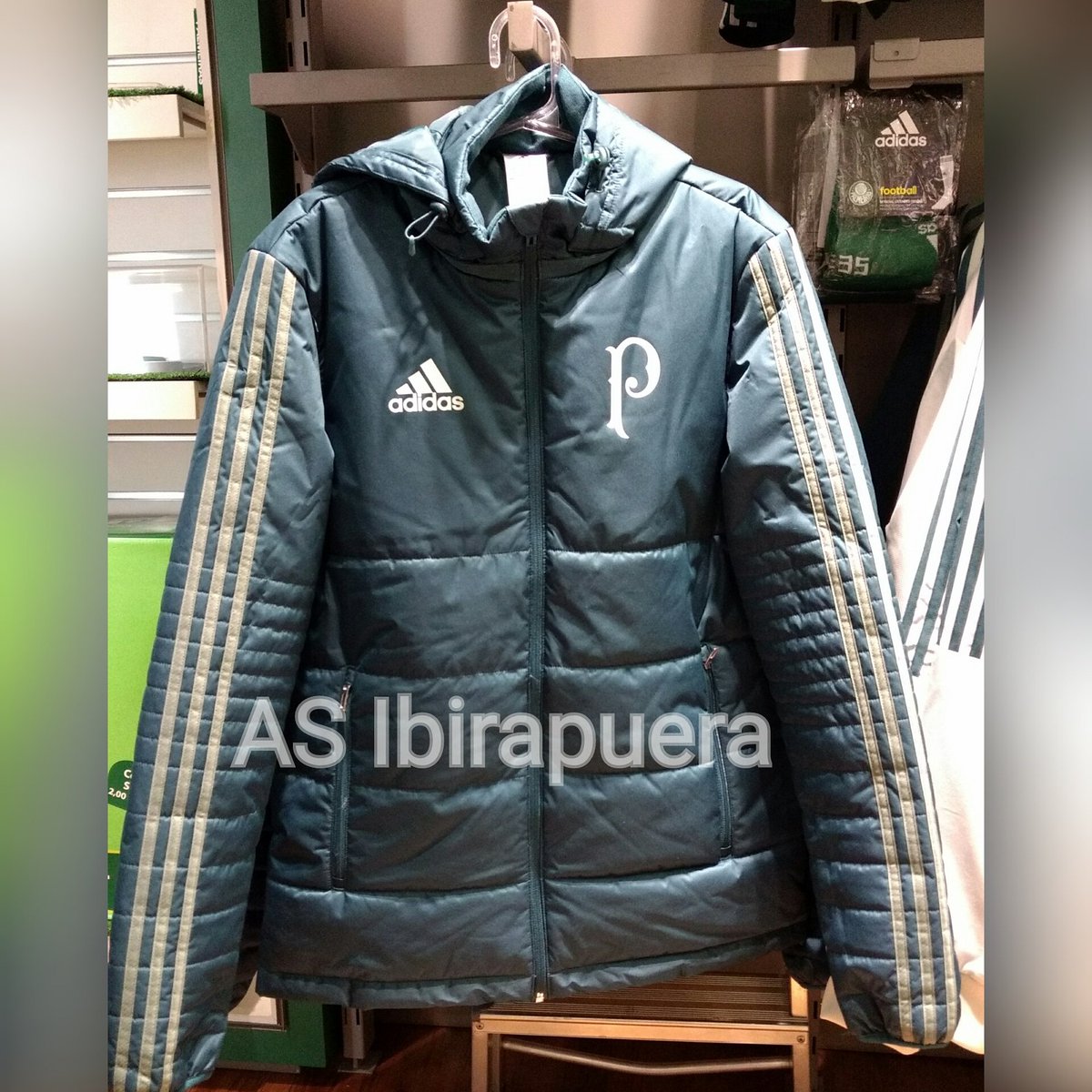 jaqueta inverno palmeiras