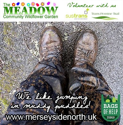 #Volunteer with us! See the work we do at merseysidenorth.uk or visit sustrans.org.uk/volunteer/get-… #Liverpool #Sefton #Maghull #Bagsofhelp