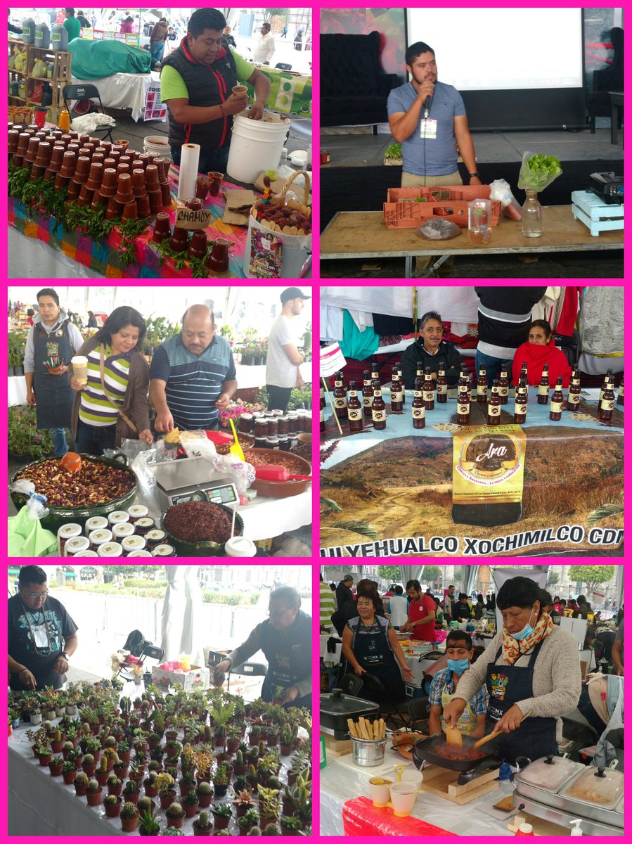 RocioBarcenaM's tweet photo. Ven a comer rico, aprende en los talleres y disfruta a la Sonora Dinamita a las 4 pm Feria #ConsumeLocalCDMX  @rosaicela_CDMX @SEDERECCDMX https://t.co/PVTCT0Wwj5