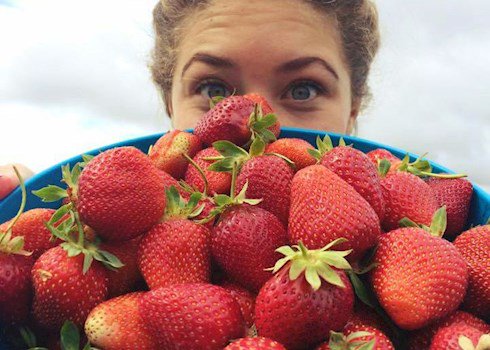 Inspiration in the community - sometimes even the smallest of ideas bears fruit:
fidelitylife.co.nz/thrive/inspira… 
<a href="/pickfruitnz/">Community Fruit</a>