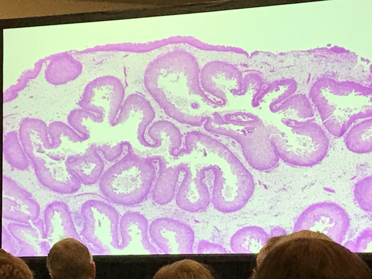 Sanjay Mukhopadhyay tweet media