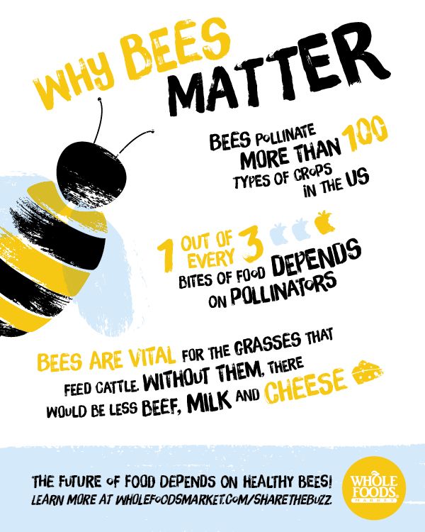 SaveTheBeesBuzz's tweet photo. Some food for thought on a nice Sunday afternoon... #whybeesmatter #sunday #savethebees #thinkaboutit https://t.co/PQmaNt34My