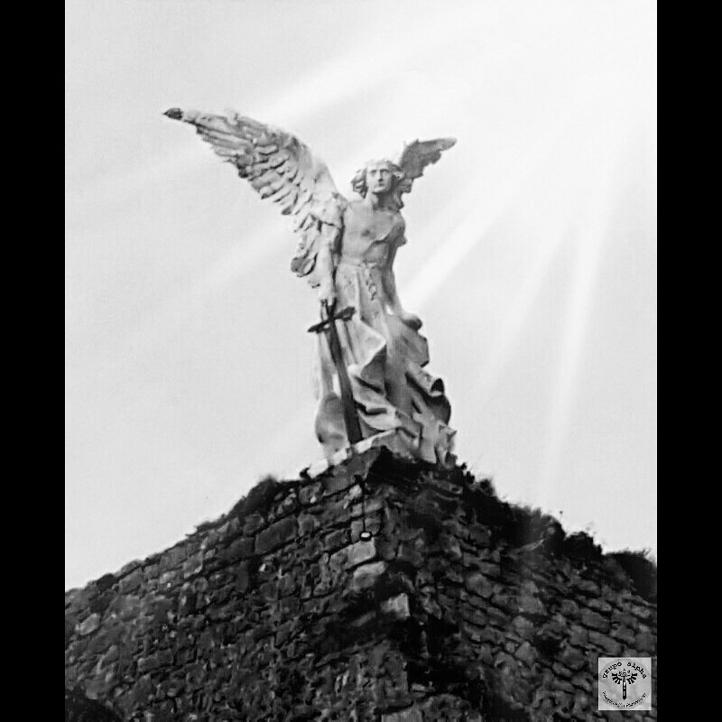 Si exorcizara mis demonios, bueno, mis ángeles podrían irse también. #TomWaits 
#angeles #angels #love #angel #amor #best_photogram