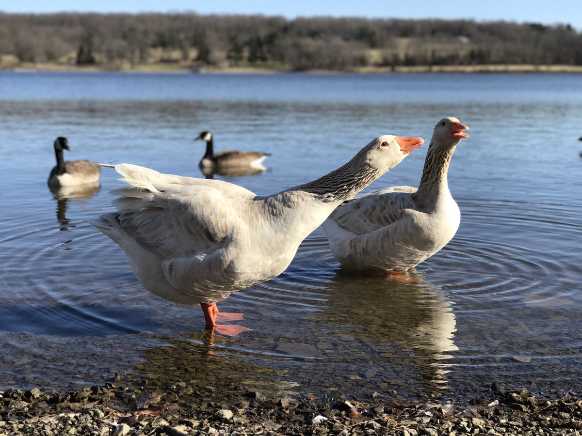 frankmurphy2009's tweet photo. #peacevalleypark @VisitBucksPA @yourtake Sunday in the park! https://t.co/Y1zdYZJY9C