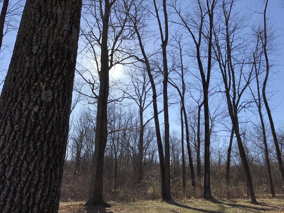 frankmurphy2009's tweet photo. #peacevalleypark @VisitBucksPA @yourtake Sunday in the park! https://t.co/Y1zdYZJY9C