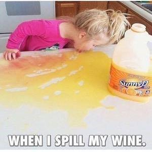 craft_wine's tweet photo. This happens! 
#wines #winetime #winelover https://t.co/yemc6GN3bt